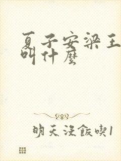 夏子安梁王书名叫什么