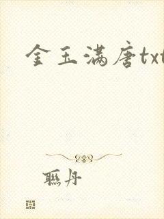 金玉满唐txt