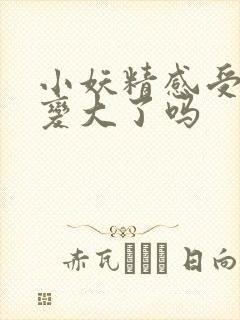 小妖精感受到它变大了吗