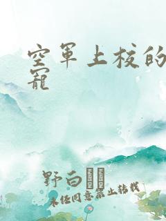 空军上校的邪魅宠