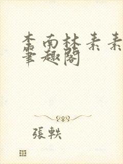 李南林素素小说笔趣阁