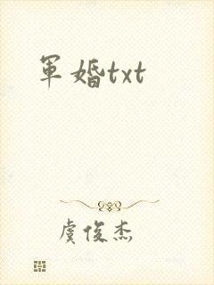 军婚txt