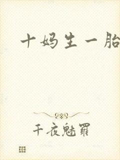 十妈生一胎
