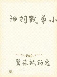 神羽战尊小说