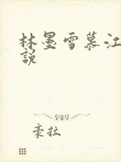 林墨雪慕江行小说