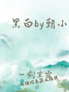 黑白by朝小诚