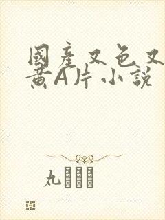 国产又色又爽又黄A片小说