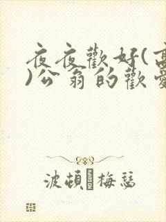 夜夜欢好(高h)公翁的欢爱