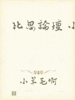 比思论坛 小说