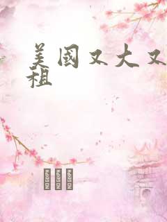 美国又大又长又租