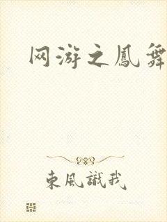 网游之凤舞九天