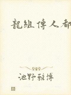 龙组传人都市行