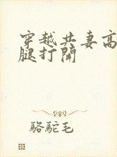 穿越共妻高肉双腿打开