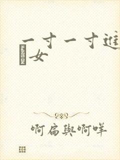 一寸一寸进入小姪女