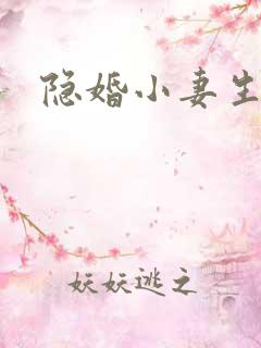 隐婚小妻生个娃