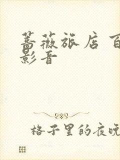 蔷薇旅店 百度影音