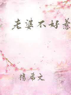 老婆不好惹