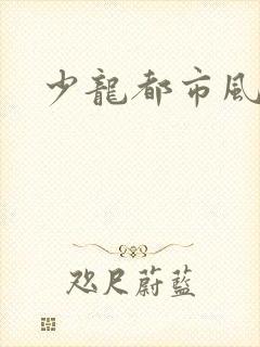 少龙都市风流行