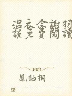 温衣念谢羽渊小说免费阅读