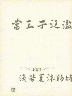 当王子泛滥之时