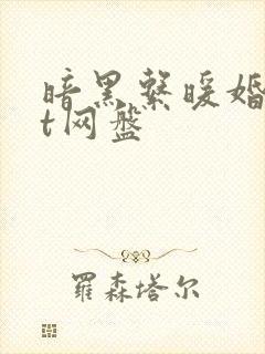 暗黑系暖婚txt网盘