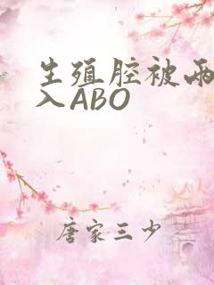 生殖腔被两根进入ABO
