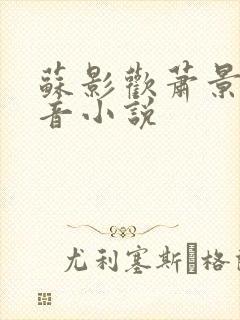 苏影欢萧景渊抖音小说