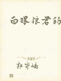 白眼狼君的小说