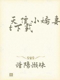 天价小娇妻txt下载