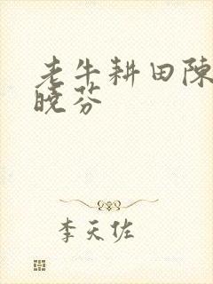 老牛耕田陈雪杨晓芬