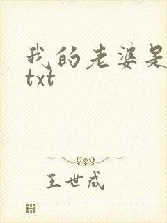 我的老婆是警察txt