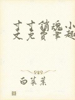 寸寸销魂小说全文免费笔趣阁