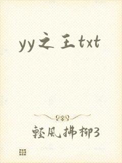 yy之王txt