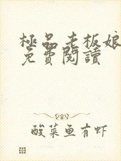 极品老板娘全文免费阅读