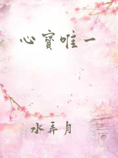 心宝唯一