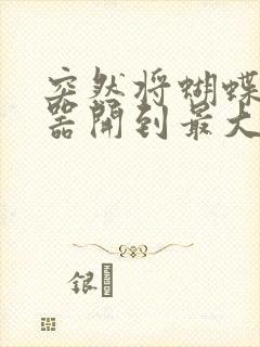 突然将蝴蝶遥控器开到最大