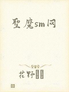 圣魔sm网