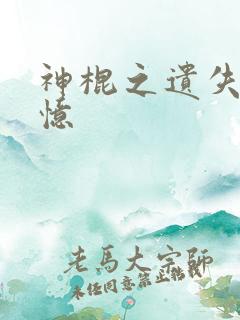 神棍之遗失的记忆