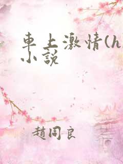 车上激情(h)小说