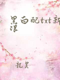 黑白配txt新浪