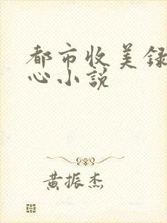 都市收美录宁素心小说