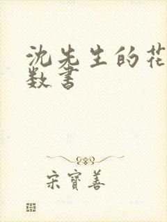 沈先生的花式调数书