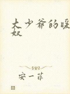 大少爷的暖床小奴