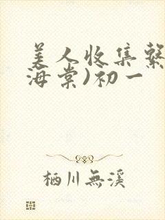 美人收集系统(海棠)初一