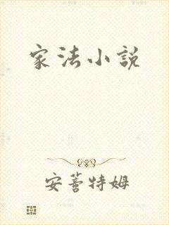 家法小说