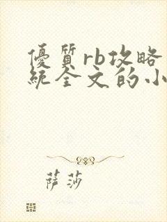 优质rb攻略系统全文的小说