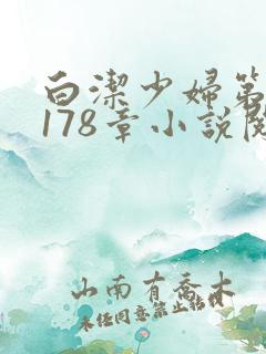 白洁少妇第1一178章小说阅读