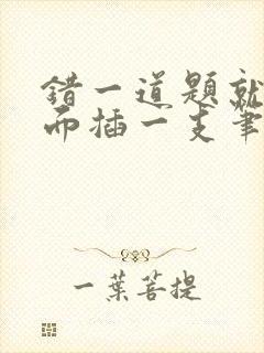 错一道题就往下面插一支笔怎么办