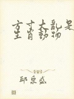 方寸大乱是什么生肖动物