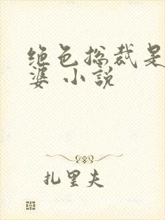 绝色总裁是我老婆 小说